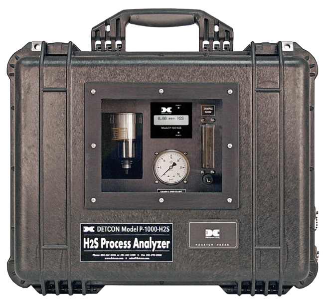Detcon Portable Hydrogen Sulfide Analyzer, P-1000-H2S